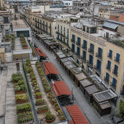 Born and Santa Caterina: The Neighborhood That Outshines Barcelona's Tourist Trail